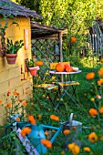 Garden shed with squash and seating area in July, Provence, France