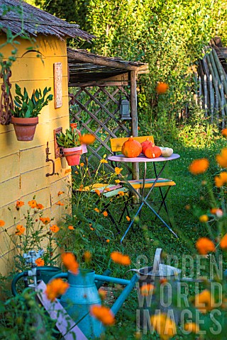Garden_shed_with_squash_and_seating_area_in_July_Provence_France