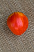 Tomato Coeur de boeuf (Ox Heart), Provence, France