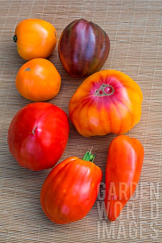 Tomato_Cornue_des_andes_Coeur_de_Boeuf_Pineapple_Noire_de_Crimee_Provence_France