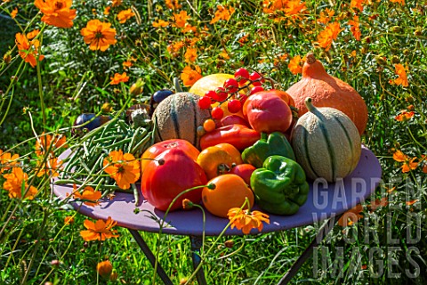 Mixed_summer_fruits_and_vegetables_Provence_France