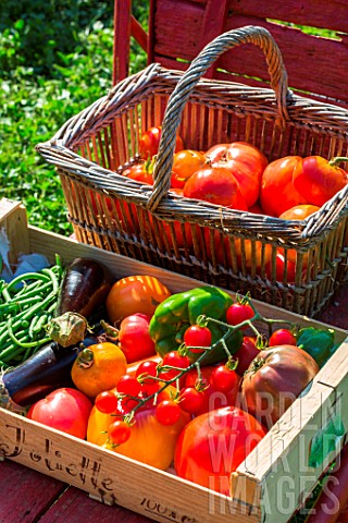 Summer_vegetable_harvest_Provence_France