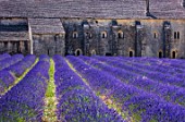 The Abbaye de Senanque, Cistercian Architecture, Gordes Village, Provence, France, Europe