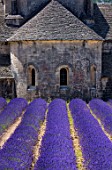 The Abbaye de Senanque, Cistercian Architecture, Gordes Village, Provence, France, Europe