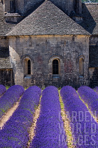 The_Abbaye_de_Senanque_Cistercian_Architecture_Gordes_Village_Provence_France_Europe