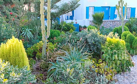 A_private_garden_with_a_wide_variety_of_Mediterranean_plant_species_adapted_to_the_climate_of_the_Cy