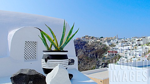 Aloe_vera_in_pot_and_village_of_Fira_in_background_Santorini_Island_Cyclades_Greece