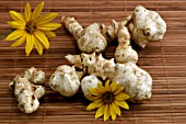 Jerusalem artichoke (Helianthus tuberosus), flowers and tubers, vegetable garden, France