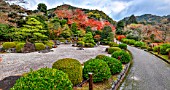 Mimurotojis garden, Kyoto, Japan
