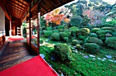 Anrakujis garden, Tokyo, japan