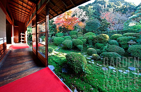 Anrakujis_garden_Tokyo_japan
