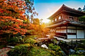 Sunset in the Ginkakuji temple, Kyoto, Japan