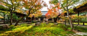 Kenninjis rock garden, Kyoto, Japan