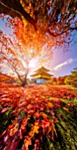 Sunset in the Kinkakuji temple, Kyoto, Japan