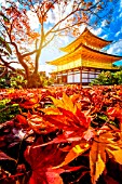 Sunset in the Kinkakuji temple, Kyoto, Japan