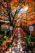 Sunset in the Koetsuji temple, Kyoto, Japan