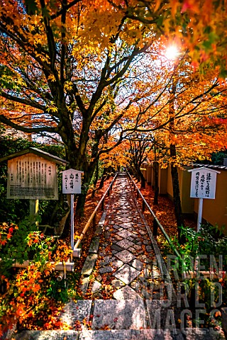 Sunset_in_the_Koetsuji_temple_Kyoto_Japan