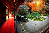 Manshuin temple at night in Kyoto, japan