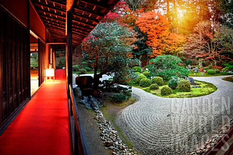 Manshuin_temple_at_night_in_Kyoto_japan