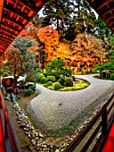 Manshuin temple at night in Kyoto, japan