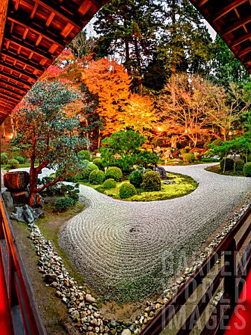 Manshuin_temple_at_night_in_Kyoto_japan