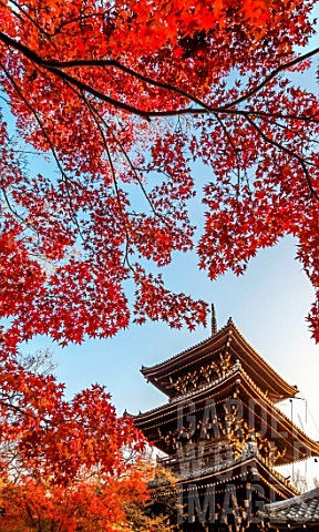 Tree_pagoda_in_the_Shinnyodo_temple_Japan