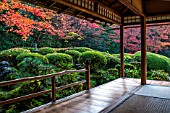 Azalea in Shisendo temple, Kyoto, Japan