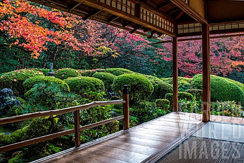 Azalea_in_Shisendo_temple_Kyoto_Japan