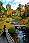 Japanese garden at Shoren-in, Kyoto, Japan