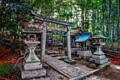 Sanctuary entrance cross a bamboos path, Kyoto, Japan