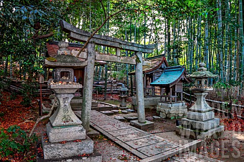 Sanctuary_entrance_cross_a_bamboos_path_Kyoto_Japan