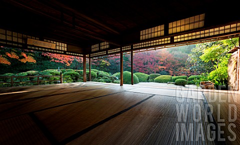 Azalea_in_Shisendo_temple_Kyoto_Japan