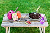 Plant cutting equipment on a garden table