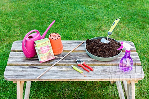 Plant_cutting_equipment_on_a_garden_table