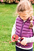 Little girl taking a cutting from Pelargonium