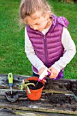 Little girl making cutting from Pelargonium