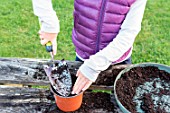 Little girl making a cutting from an Hydrangea, firming down