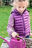 Little girl making a cutting from an Abelia