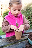 Little girl making a cutting from a box tree, firming down