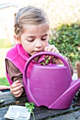 Little girl making a cutting from a Buxus