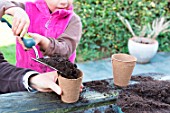Little girl making a cutting from Buxus, adding soil