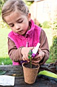 Little girl making a cutting from Buxus, watering in