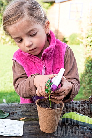 Little_girl_making_a_cutting_from_Buxus_watering_in
