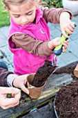 Little girl making a cutting from Buxus, adding soil