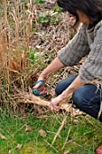 Filling a flowerpot with straw to attract earwigs