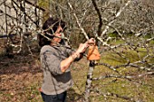 Woman putting inverted flowerpot on a tree filled with straw to attract earwigs