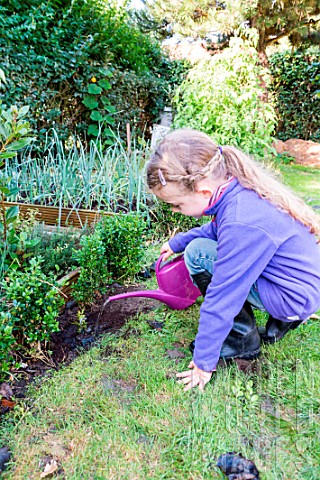 Little_girl_watering_in_Buxus_in_a_garden