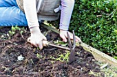 Little girl weeding a squarefoot kitchen garden