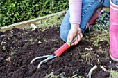 Young girl loosening the soil of the squarefoot kitchen garden