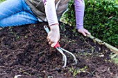 Young girl loosening the soil of the squarefoot kitchen garden